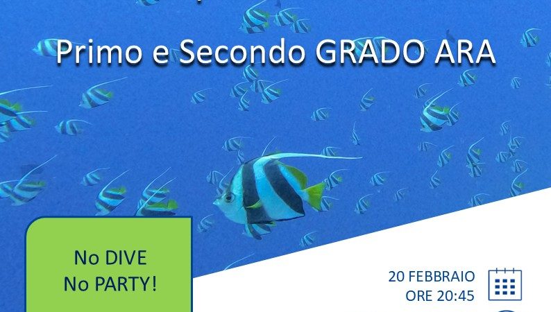 Presentazione corso P1 e P2